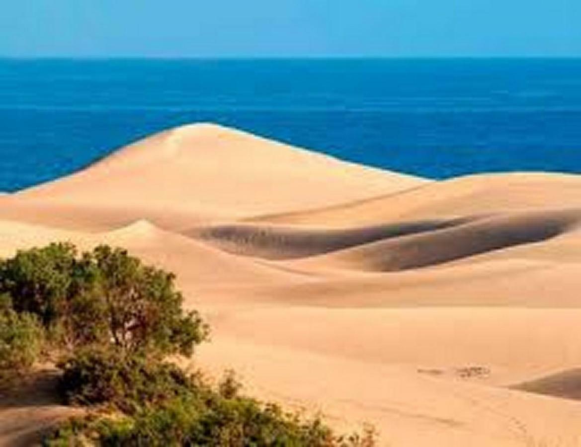 Bungalow Duna Flor Maspalomas Maspalomas  Exteriér fotografie
